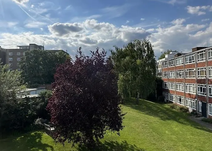 Leafy Sanctuary In Putney