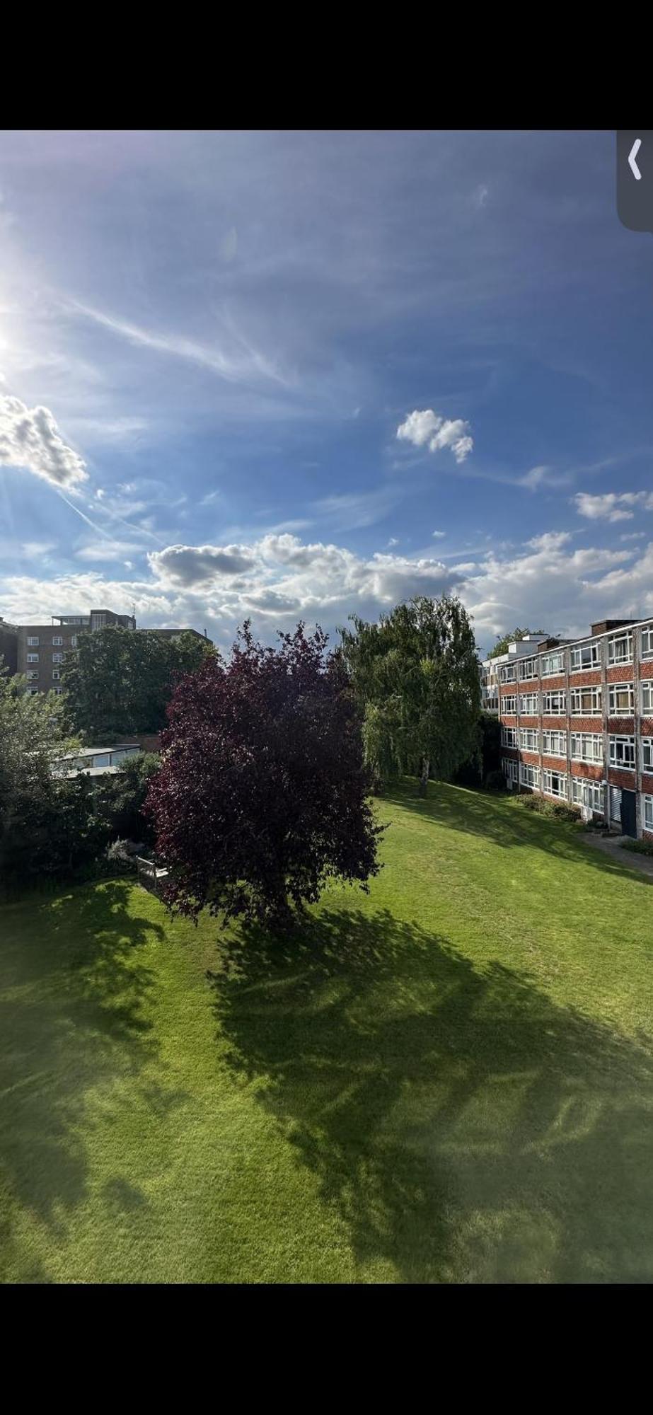 Leafy Sanctuary In Putney Appartamento Londra